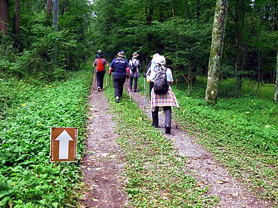 9月7日定例ウォーキング