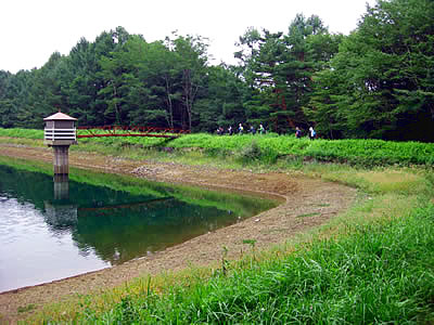 9月7日定例ウォーキング