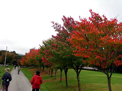 10月5日定例ウォーキング