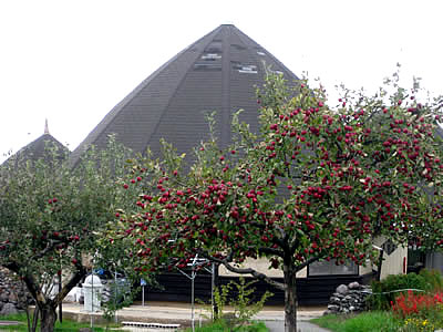 10月5日定例ウォーキング