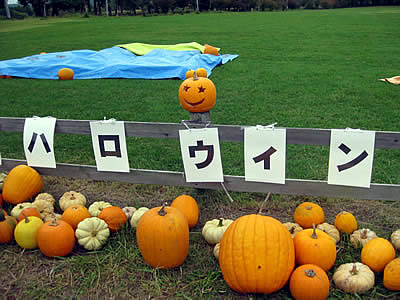 10月5日定例ウォーキング