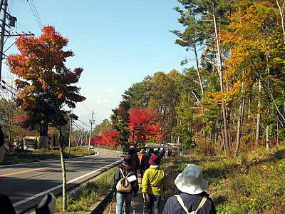 11月2日定例ウォーキング