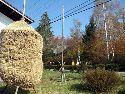 11月2日定例ウォーキング