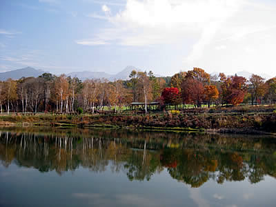 11月2日定例ウォーキング