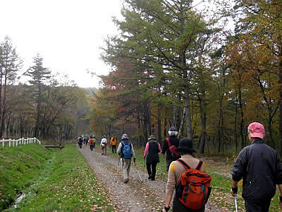 11月2日定例ウォーキング