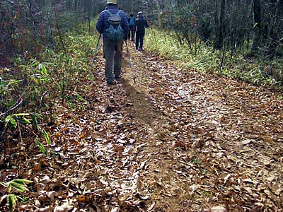 12月7日定例ウォーキング