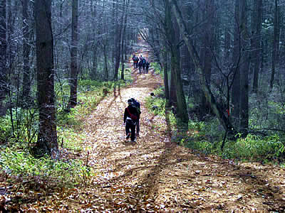 12月7日定例ウォーキング