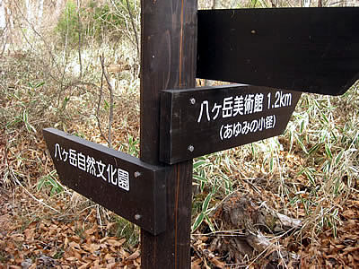 12月7日定例ウォーキング