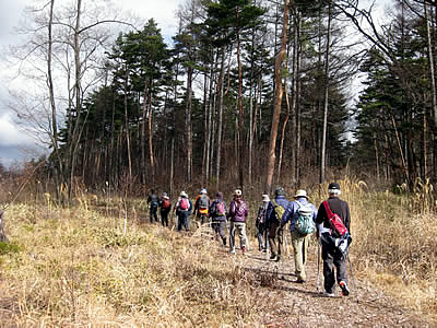 12月7日定例ウォーキング