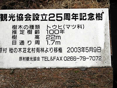 12月7日定例ウォーキング