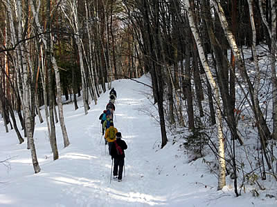 1月4日定例ウォーキング