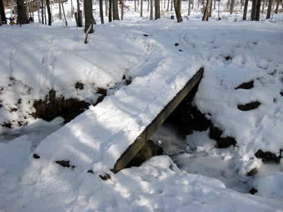 1月4日定例ウォーキング