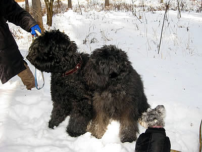 1月4日定例ウォーキング