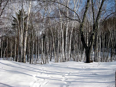 1月4日定例ウォーキング