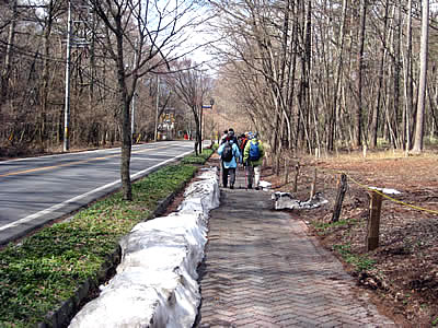 4月5日定例ウォーキング