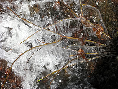 4月5日定例ウォーキング