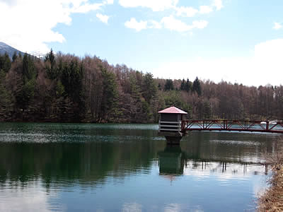 4月5日定例ウォーキング