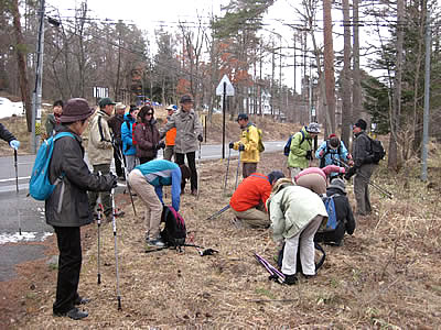 4月5日定例ウォーキング