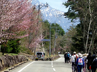 5月3日定例ウォーキング