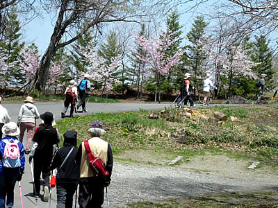 5月3日定例ウォーキング