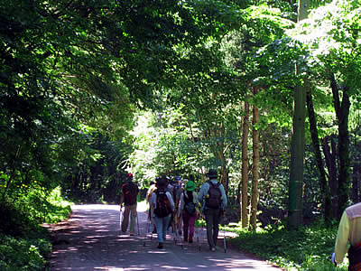 8月2日定例ウォーキング