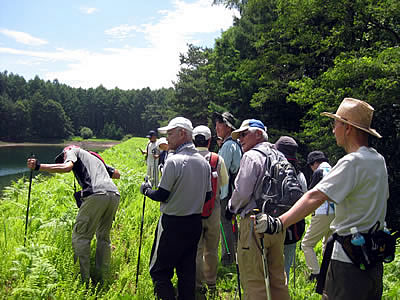 8月2日定例ウォーキング