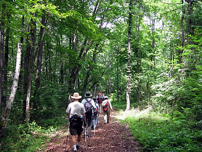 8月2日定例ウォーキング