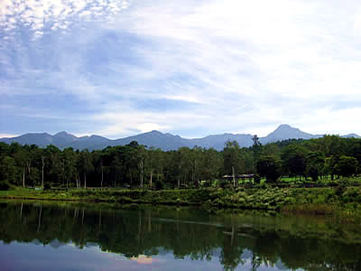 9月6日定例ウォーキング