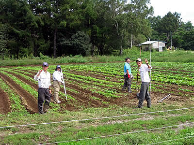 9月6日定例ウォーキング