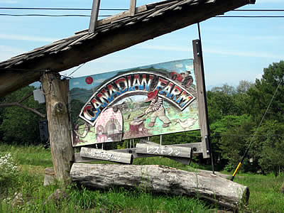 9月6日定例ウォーキング