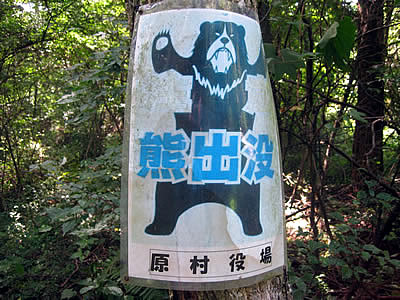 9月6日定例ウォーキング