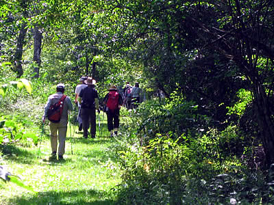 9月6日定例ウォーキング