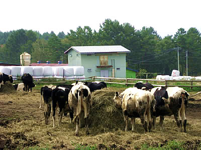 10月4日定例ウォーキング