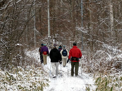 12月6日定例ウォーキング