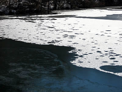 12月6日定例ウォーキング