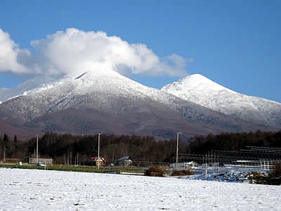 12月6日定例ウォーキング