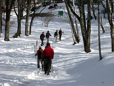 1月10日定例ウォーキング