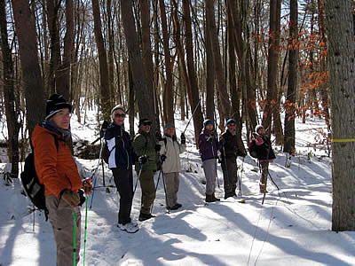 1月10日定例ウォーキング