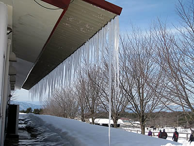 2月7日定例ウォーキング