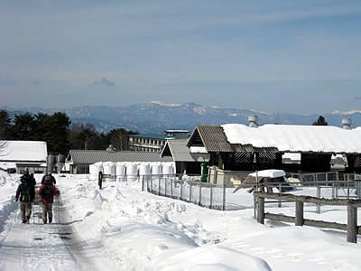 2月7日定例ウォーキング