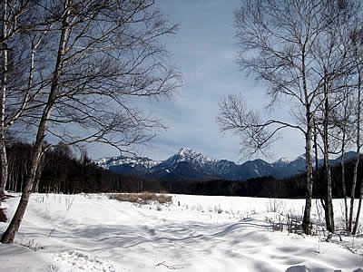 2月7日定例ウォーキング