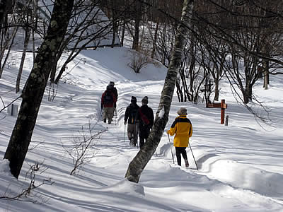 2月7日定例ウォーキング