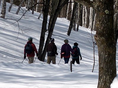 2月7日定例ウォーキング