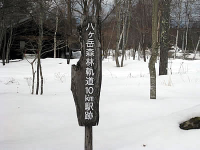 3月7日定例ウォーキング