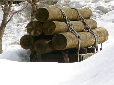 3月7日定例ウォーキング