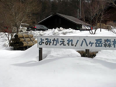 3月7日定例ウォーキング