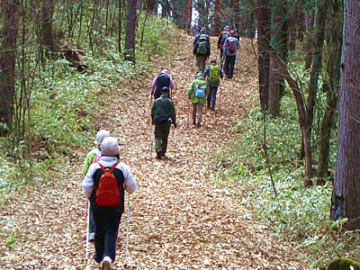 4月4日定例ウォーキング
