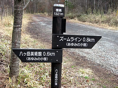 4月4日定例ウォーキング