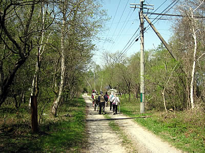 5月6日定例ウォーキング