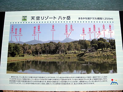 5月6日定例ウォーキング